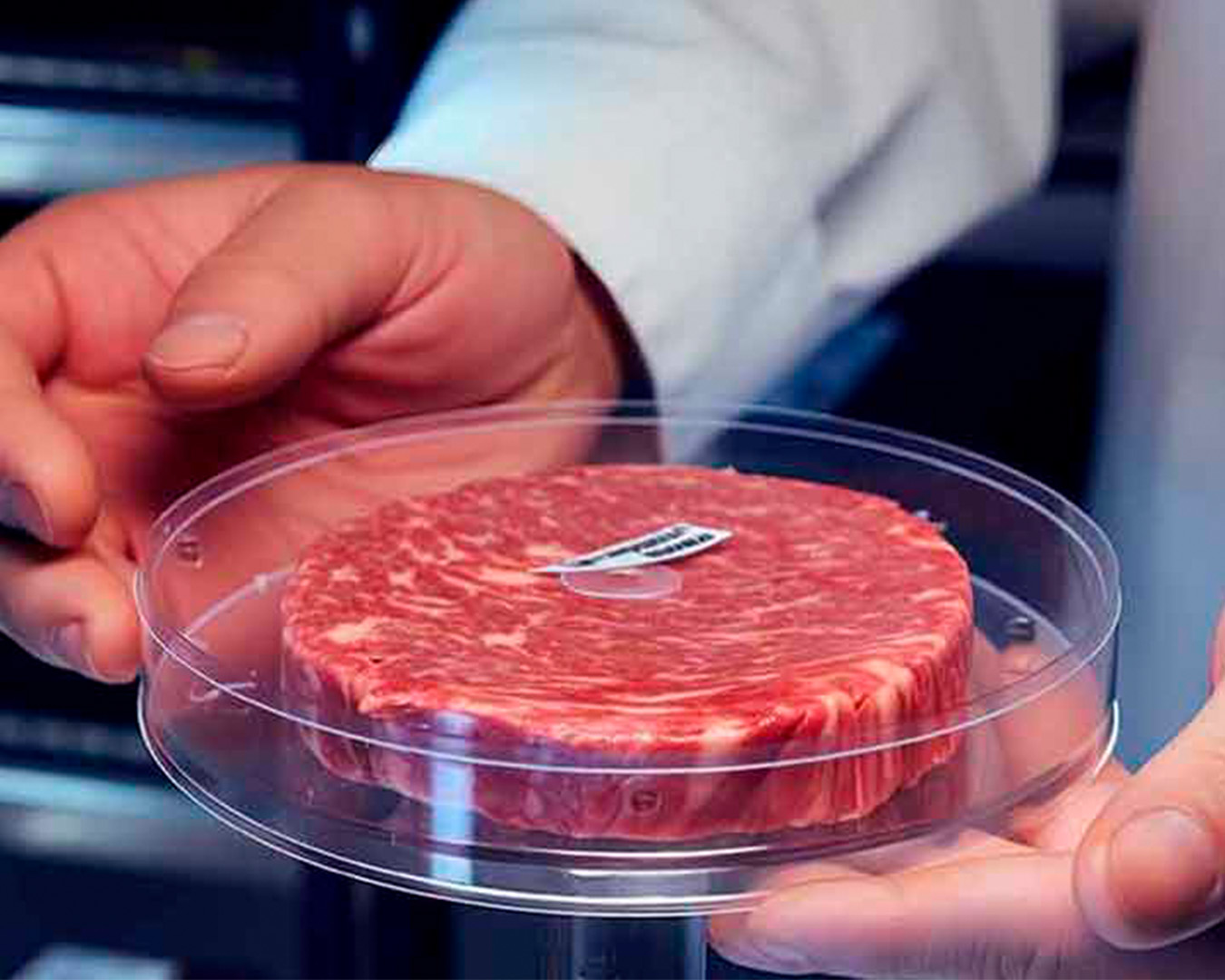 Imagen de lo que puede ser carne hecha en laboratorio