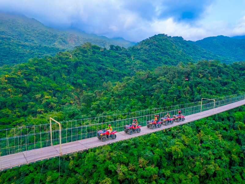 Puerto Vallarta, epicentro Gastrónomico de México